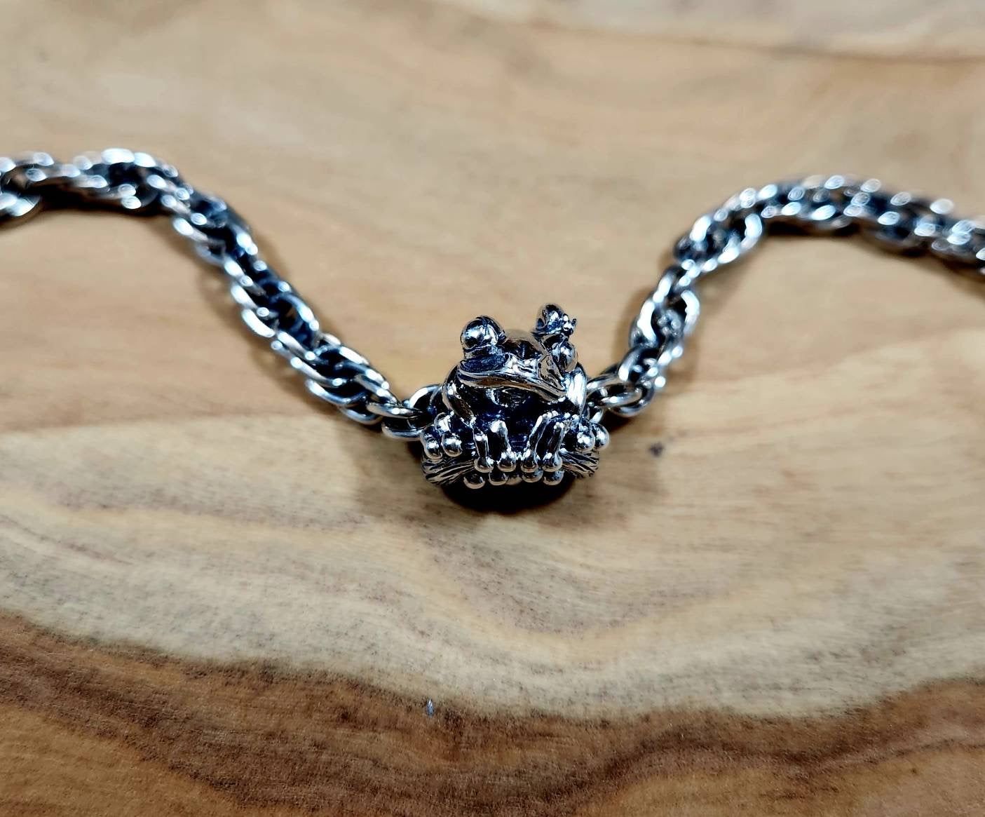 FROG with BABY SNAIL Charm