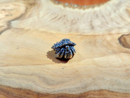 Hermit Crab Charm