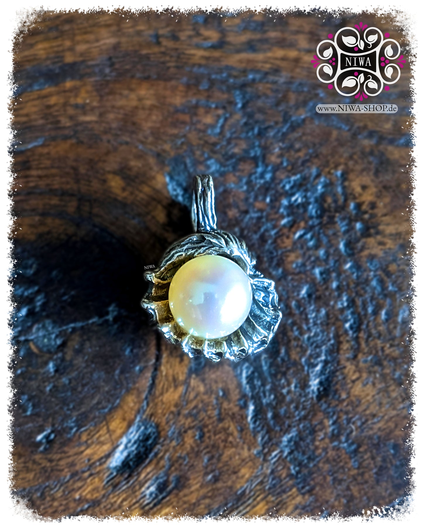 AGOYA Perle LUSTRE-WEISS im SEASHELL COFFEE BEAN Dangle, Nahaufnahme Muschel und Schimmer